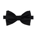 Men's Oversized Satin Solid Bow Tie